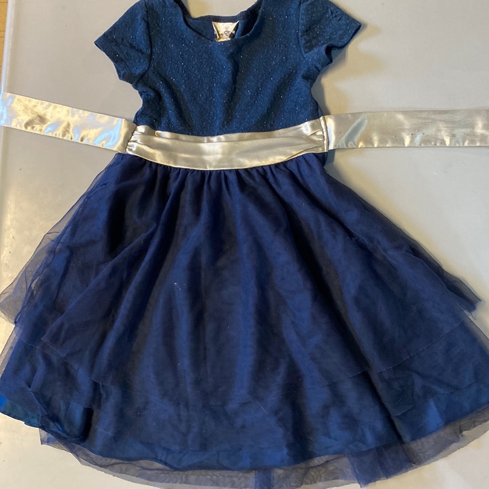 A puffy sparkly navy blue dress with a sliver ribbon